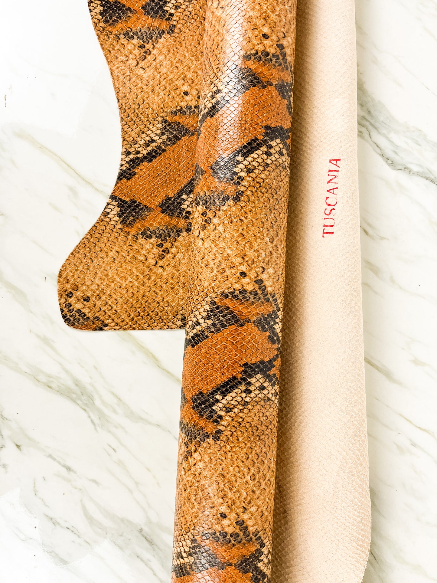 Goat Embossed - Snake Skin